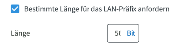IPv6 Prefix.png