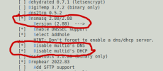 DISABLE_DNS_DHCP.png