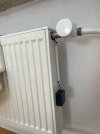 IMG_0409.jpeg