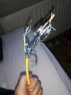 IMG_20230608_185738.jpg