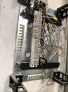 IMG_1305.jpeg