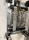 IMG_1302.jpeg