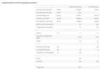 DSL Info Neu.png