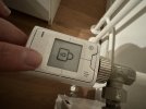 IMG_1516.jpeg