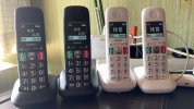IMG_7536.jpeg