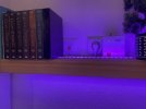 IMG_8038.jpeg