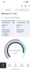 Bild1-Powerfox Einspeisung.png