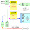 Weiterleitungschema.png