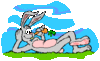 hase03.gif hase03.gif