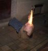 silvester-is-furn-arsch1.jpg