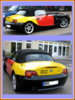 schauffhnchenfe6.jpg