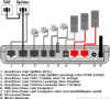 FRITZBox_Fon_WLAN_7050.png