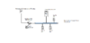 Asterisk + SmartNode 4638.png