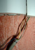 tel002tt8.jpg