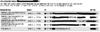 Sipgate mit Android 16-06-2014.png