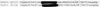 IPV6.JPG