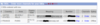 DID-TerraSip-anonym.png