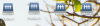 Screenshot 2019-01-05 at 11.36.18 AM.png