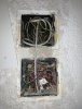 IMG_0275.jpeg