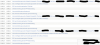 Neustarts 2020-04-30 171219.png
