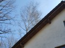 20210402_131845.jpg