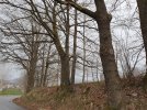 20210406_165529.jpg 20210406_165529.jpg