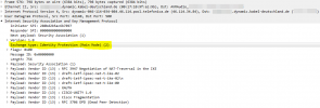 without_ipsec_id.png