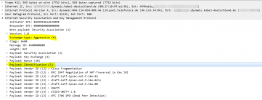 with_ipsec_id.png