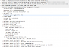 charon_without_explicit_ipsec_id.PNG