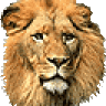 XLION