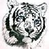 TigerX