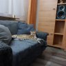 gillem
