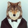 Wolf49