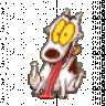 spunky9003