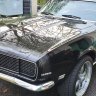 Ronnie5