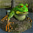 badfrog68