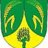 Robbe12529