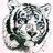 TigerX