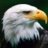 EddiTheEagle