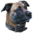 HorstBrack